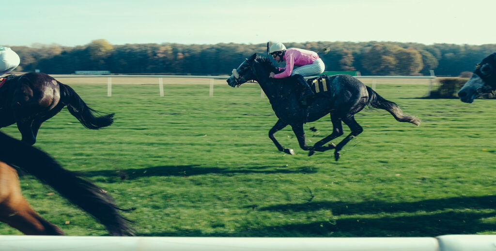 Gold cup day