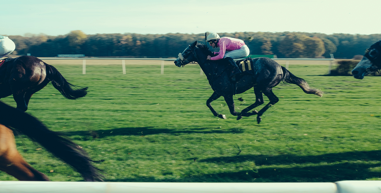 Gold cup day